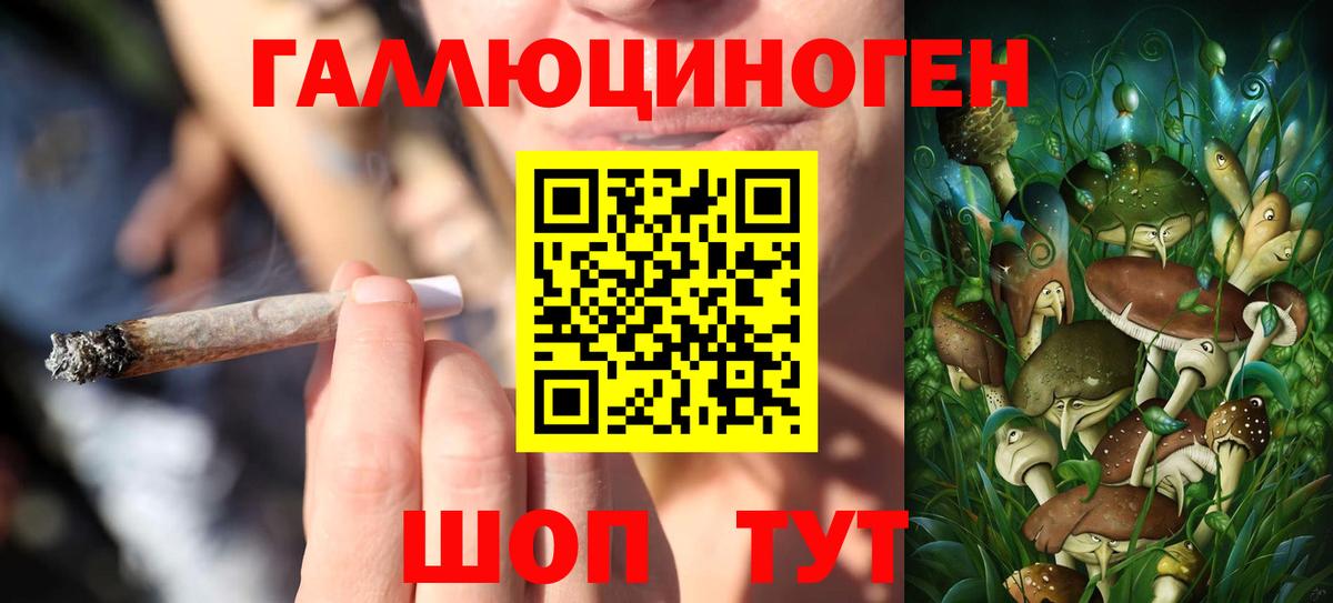 Балашиха  Галлюциногенные грибы мицелий  Вход с VPN 